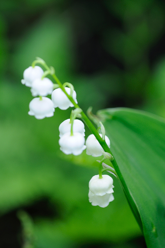 image0160