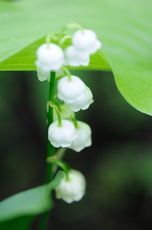 image0162