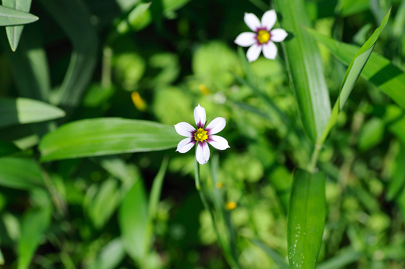 image0163