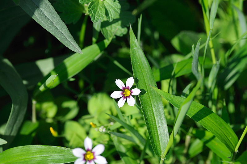image0164