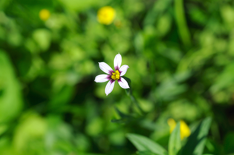 image0165