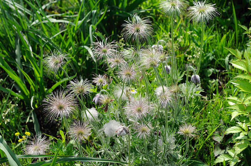 image0166