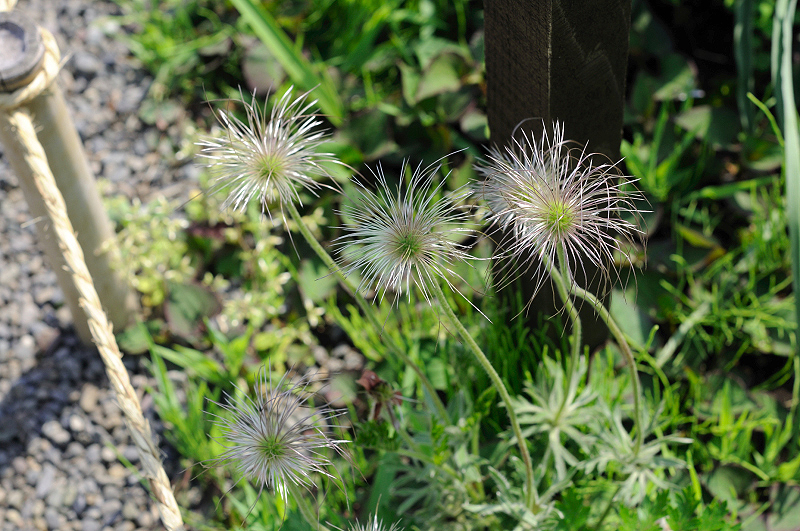 image0167
