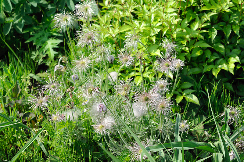 image0168
