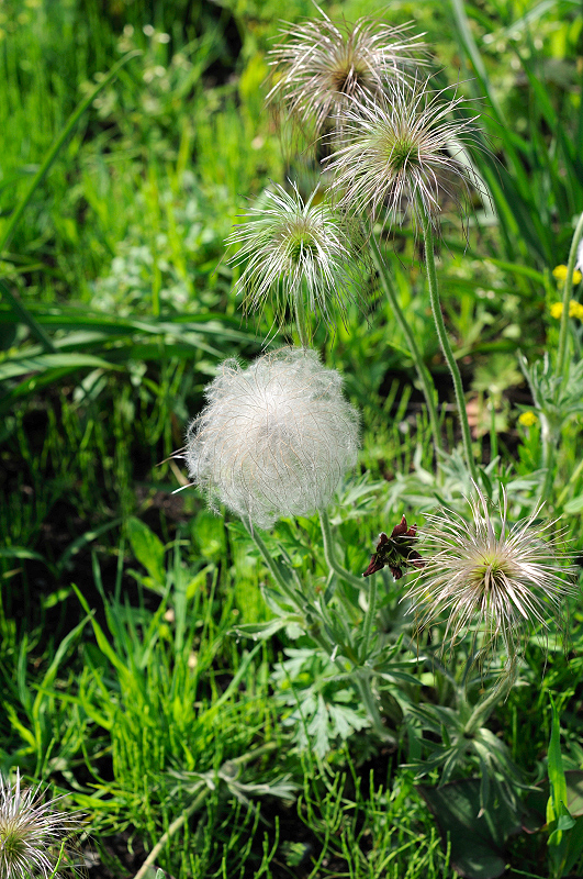 image0170
