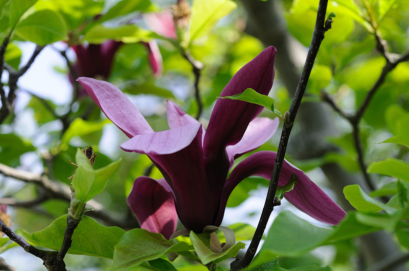 image0171