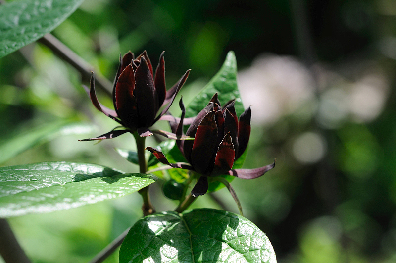 image0173