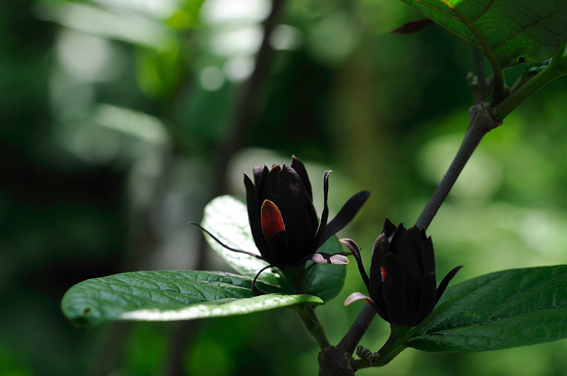 image0175