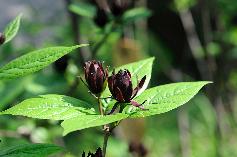 image0179