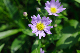 image0128