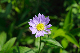 image0129