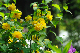 image0130