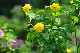 image0131