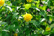 image0132