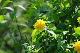 image0133