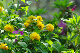 image0134
