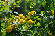 image0135