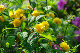 image0136