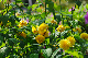 image0137