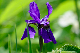 image0139