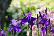 image0140