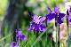 image0141