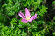image0142