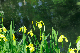 image0144