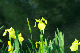 image0145