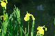 image0146