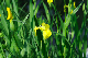 image0147