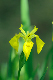 image0149