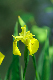 image0150