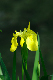 image0151