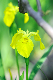 image0152