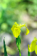 image0153