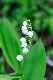 image0154