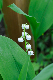 image0155