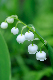 image0156