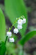 image0157