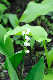 image0158