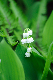 image0159