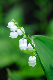 image0160