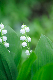 image0161