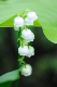 image0162