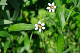 image0163