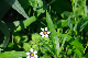 image0164