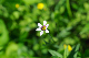 image0165