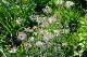 image0166
