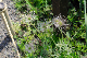 image0167